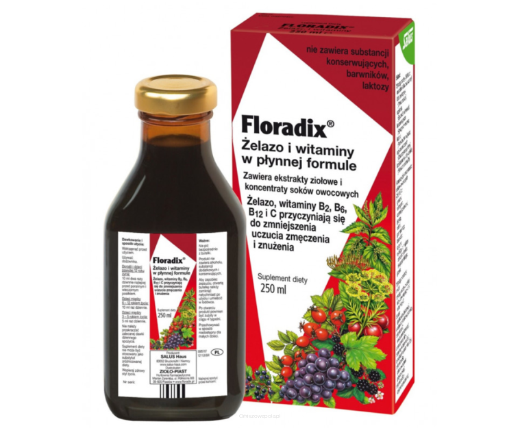 Salus Żelazo + witaminy w płynie 250 ml Floradix