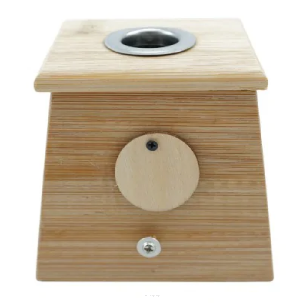 その他 bamboo Bambus czarny Phyllostachys nigra Black bamboo C7,5/1,5m | Future