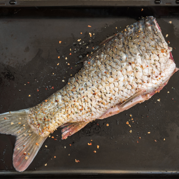 Karp tusza patroszony bez głowy świeży Świeża Ryba