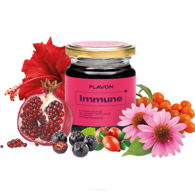 Flavon Immune 240g