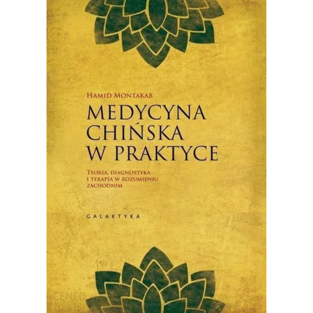 Medycyna chińska w praktyce Hamid Montakab